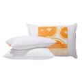 Canadian Down & Feather Company Quilted White Goose Feather Pillow, 4-pack